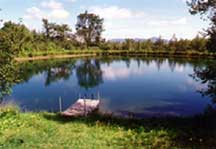 Lake at the Ashram
