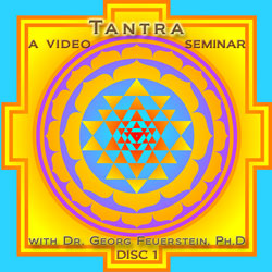 Tantra: ein Video Seminar